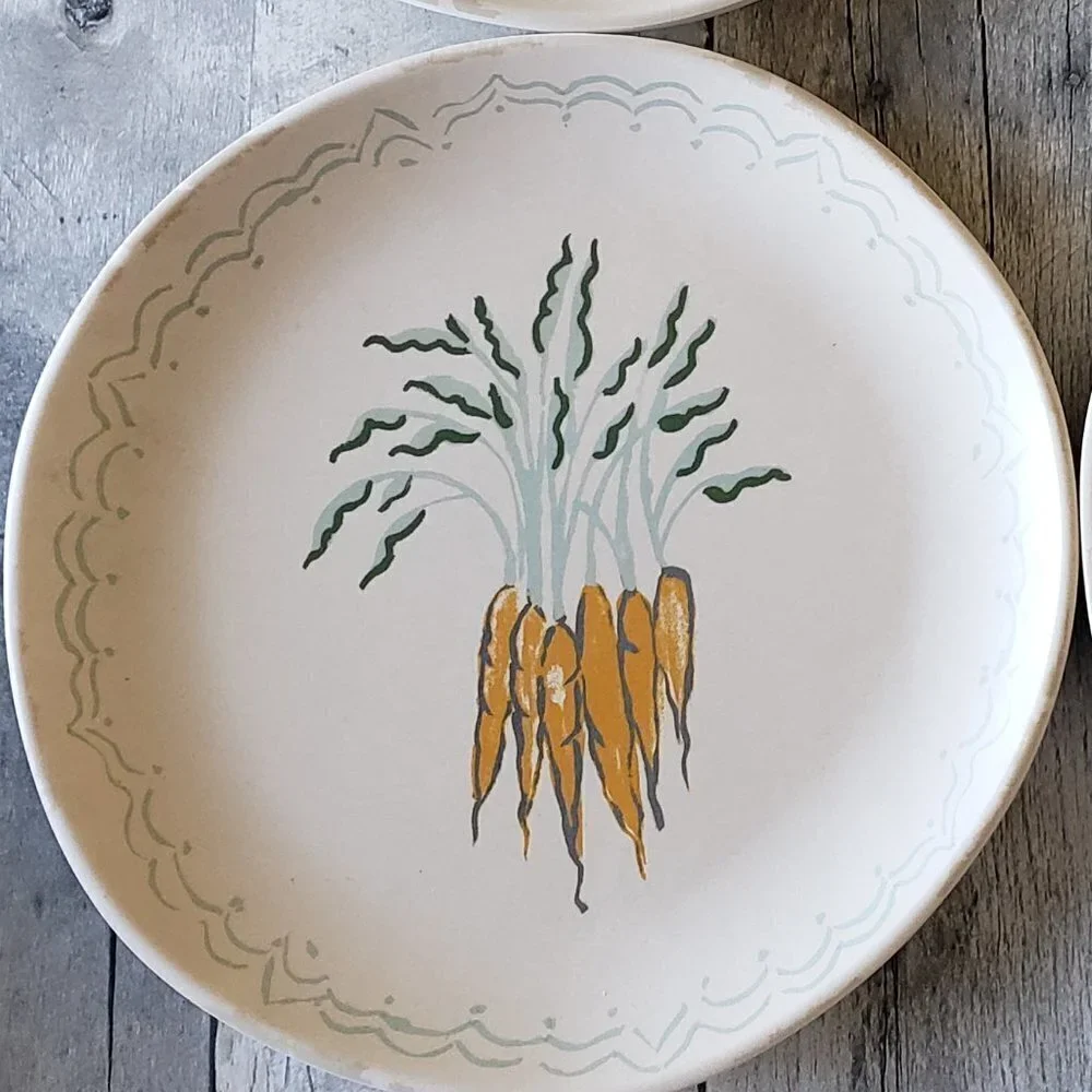 NWT – Threshold (Set of 4) Melamine Plates - Bunch of Carrots